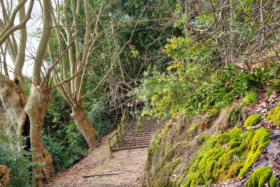 Chemin le long de la rivière L