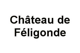 Château de Féligonde