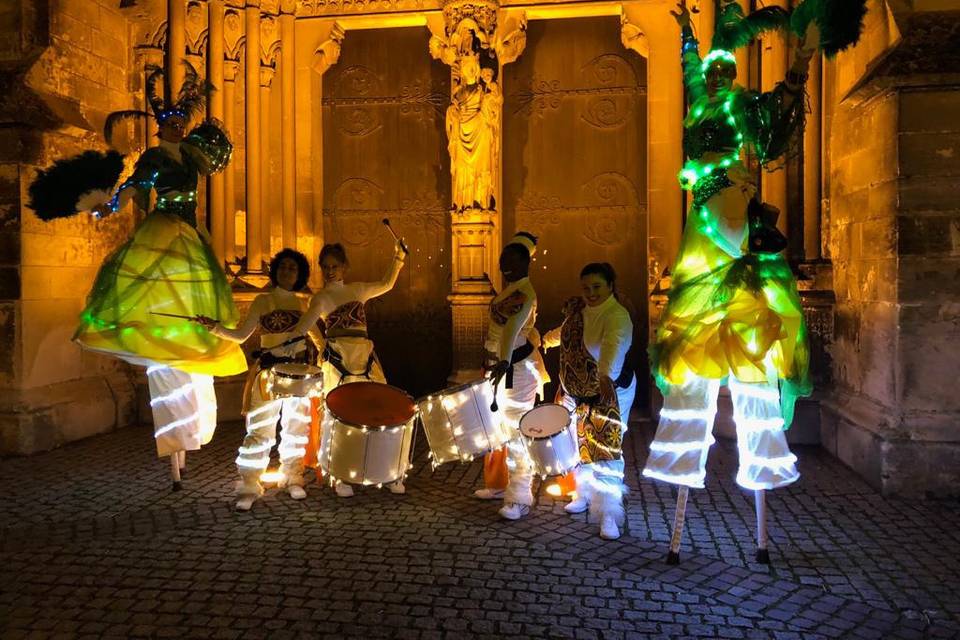 Parade lumineuse sous les tropiques