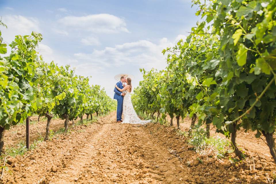 Dans les vignes