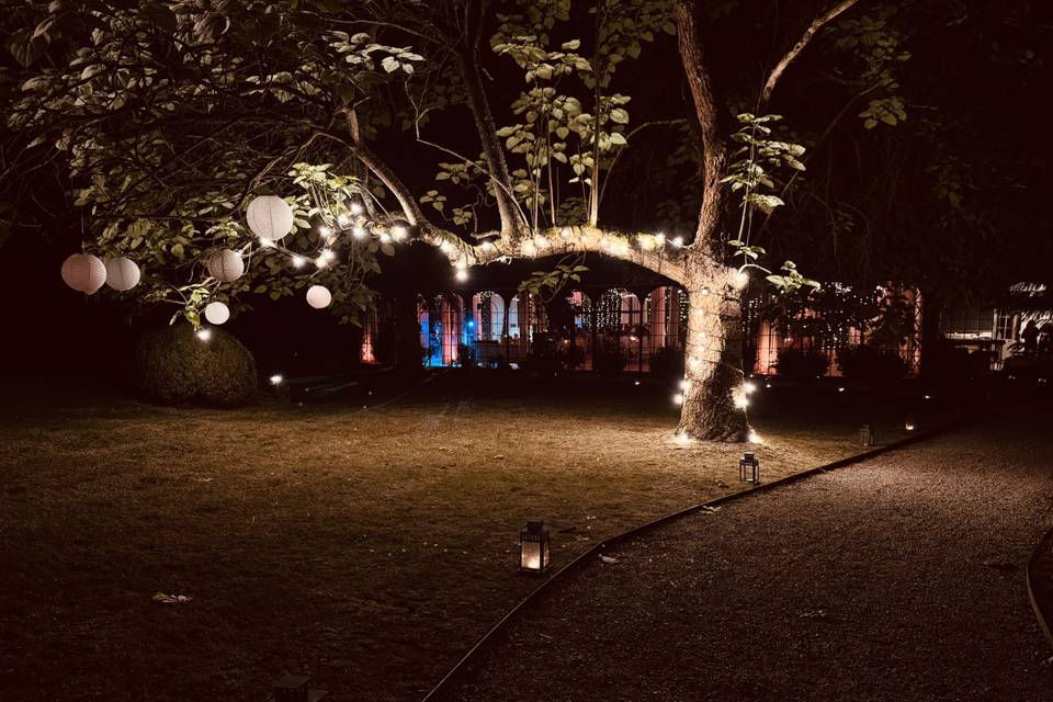 Arbre de vie