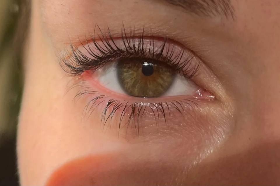 Rehaussement teinture cils