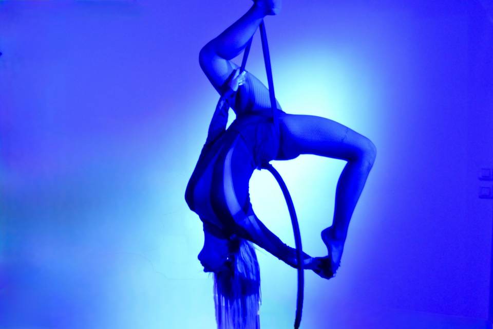 Show Visuel Cerceau Areerien