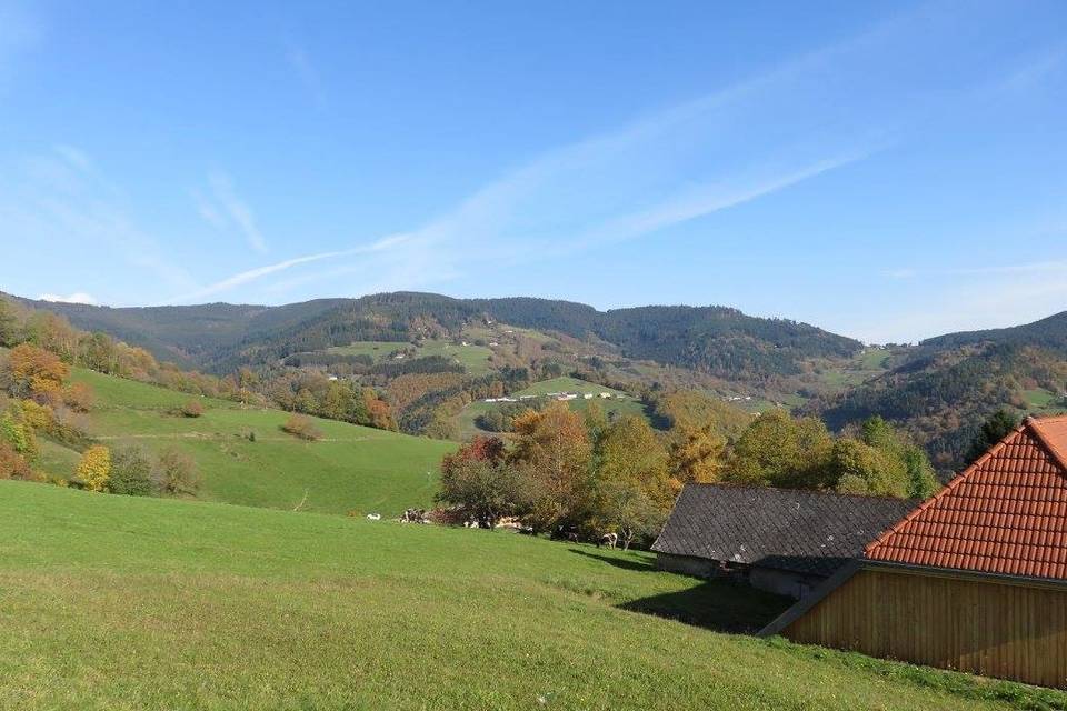 Frédérique - Accompagnatrice en Montagne