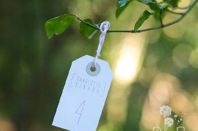 Escort cards