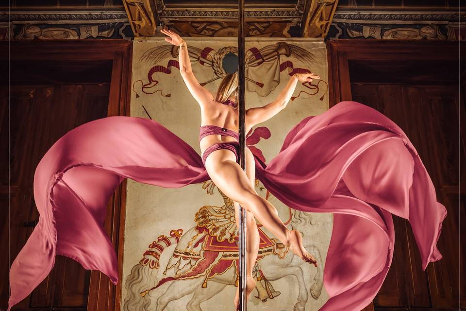 Artiste PoleDance - Mariage