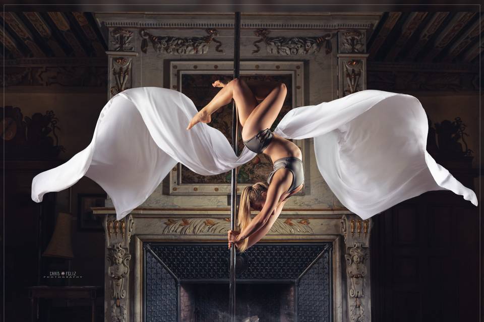 Artiste PoleDance - Mariage