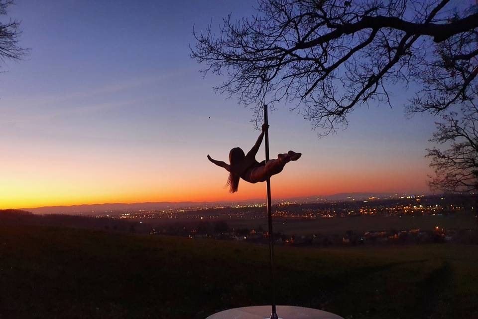 Artiste PoleDance - Mariage