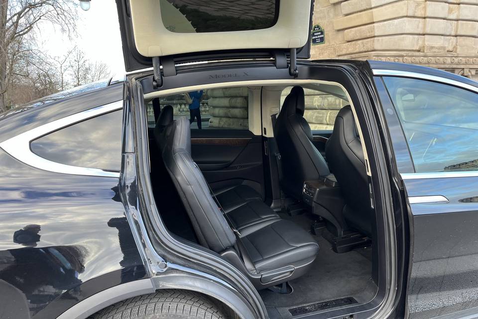 Tesla x