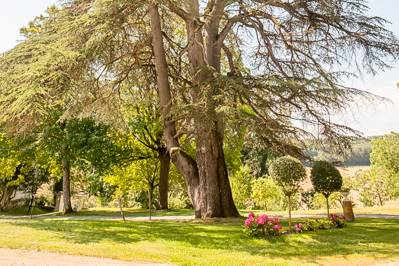 Mariage Grange Louis XIV