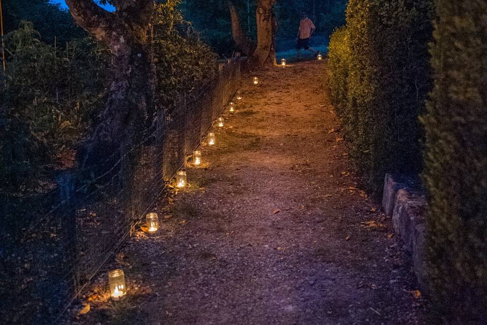 Le chemin de lumières