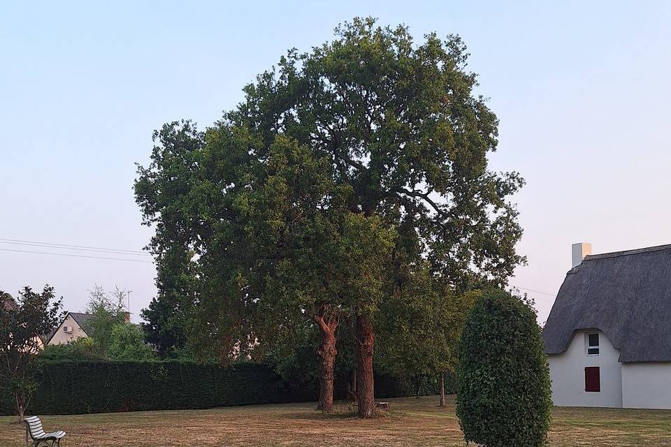 Jardin