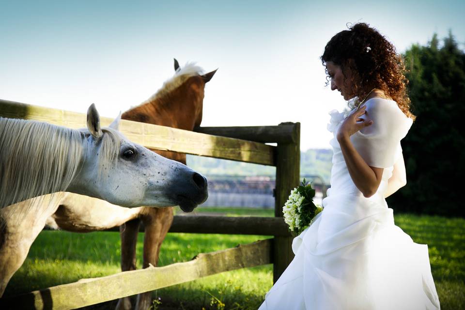 Focale Wedding