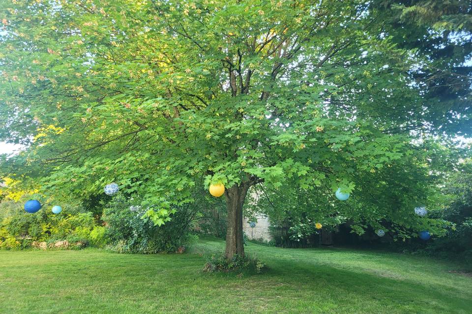 Arbres de la cour