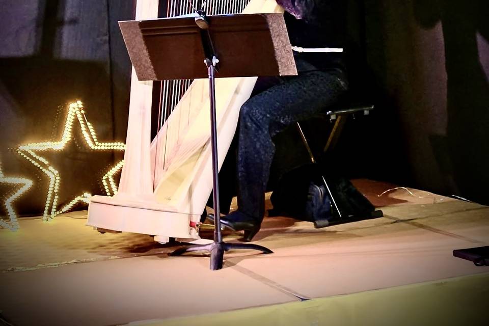 Voix et harpe
