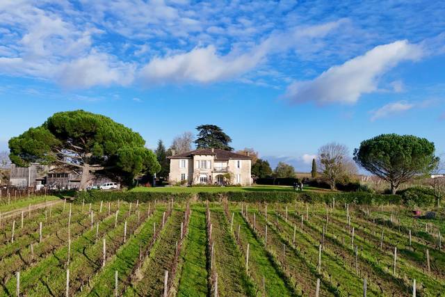 Chateau Carsin