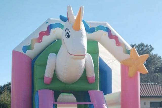 Petite structure Licorne