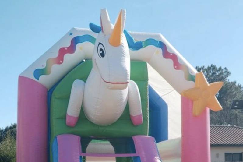 Petite structure Licorne