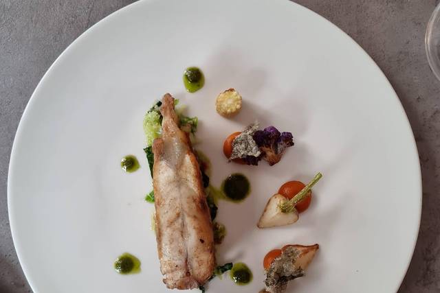 Turbot sauvage