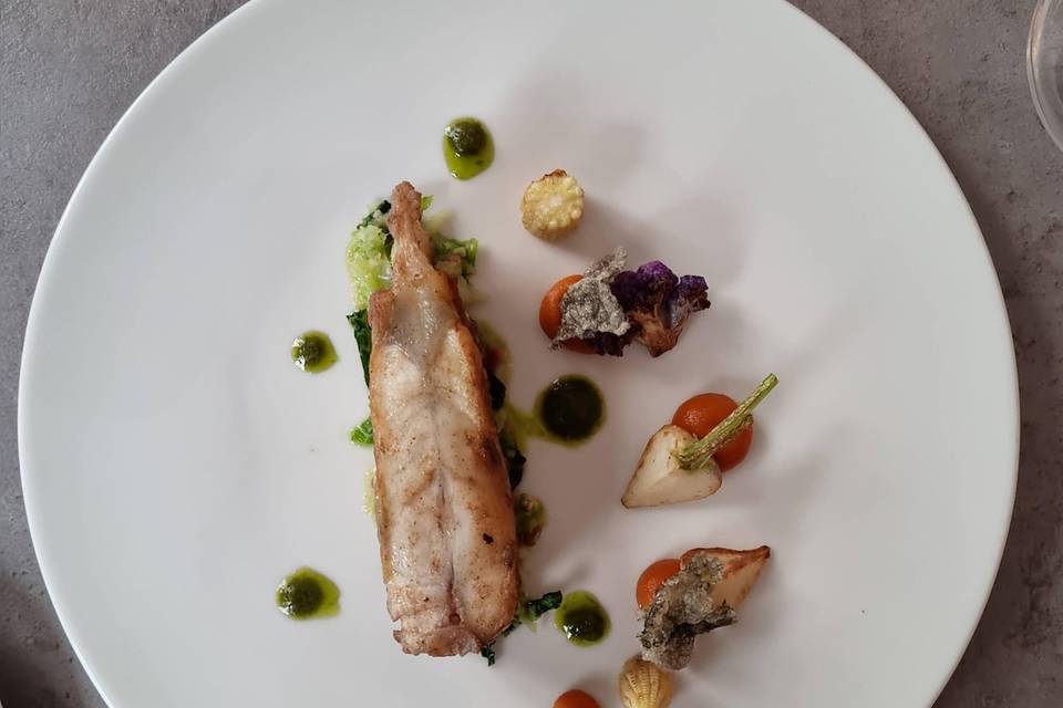 Turbot sauvage