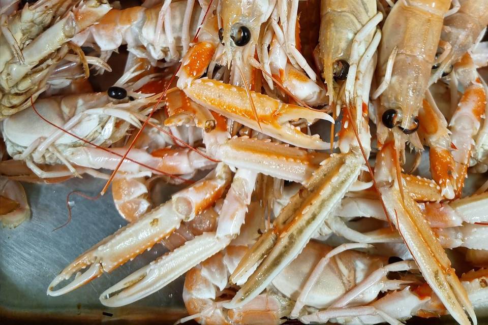 Les langoustines