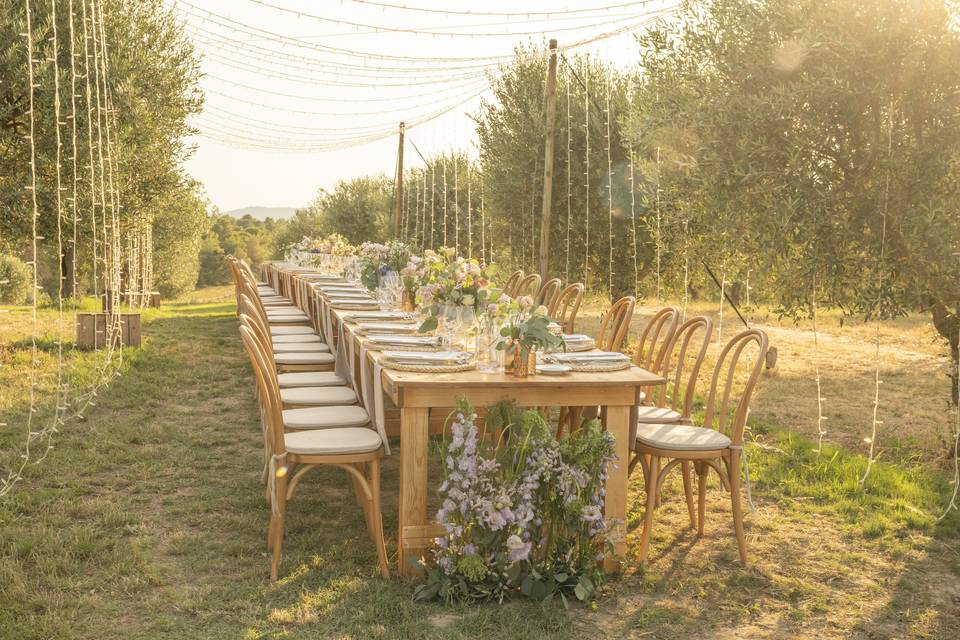 Repas au milieu des oliviers