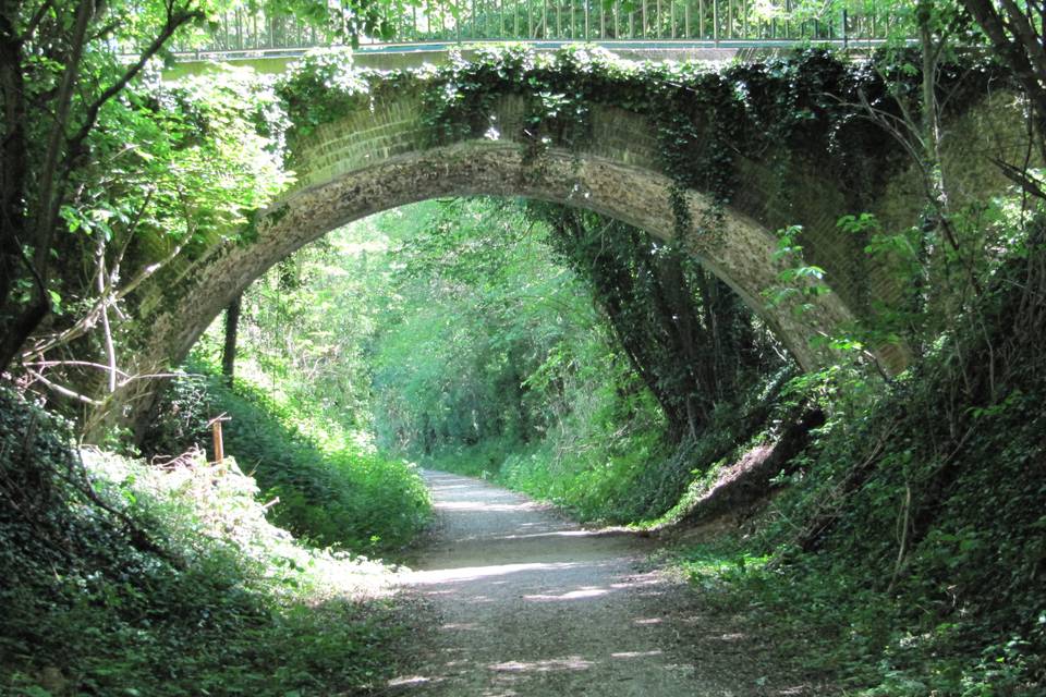 Pont voie verte