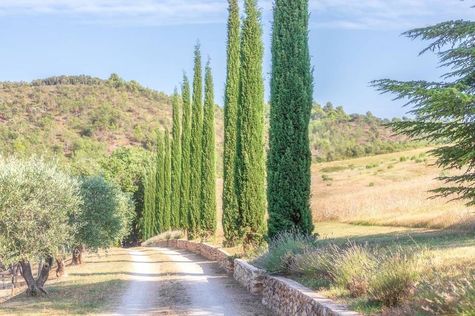 Allée principal