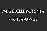 Yves Guillemotonia Photographie logo