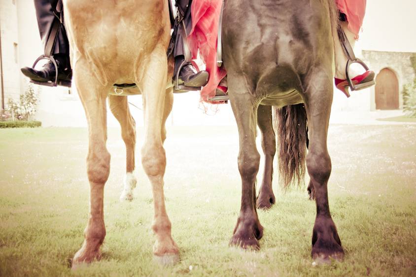 Touraine Cheval