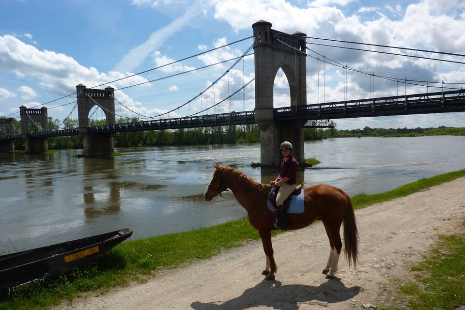 Où les enfants peuvent-il monter à cheval ou à poney en Indre-et-Loire ?
