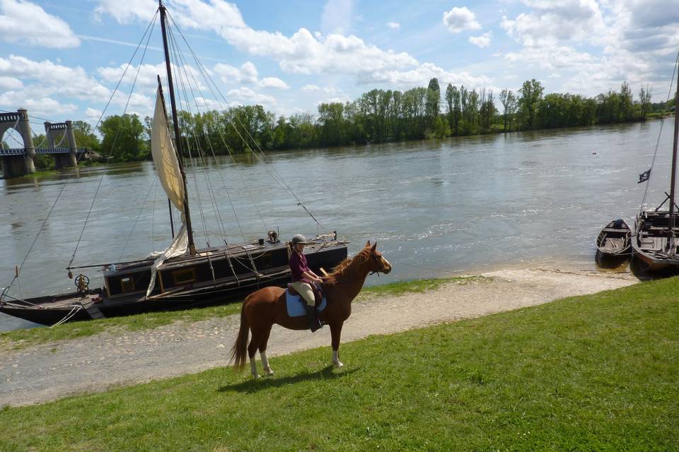 Touraine Cheval