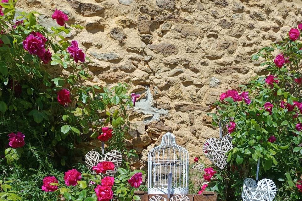 Cage à oiseau, coeurs