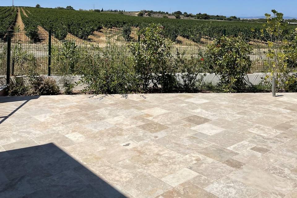 Vue sur les vignes