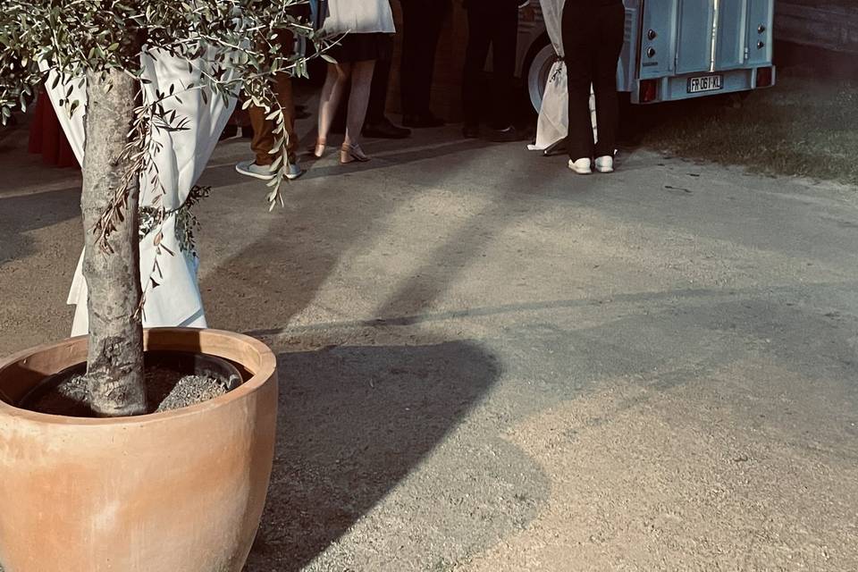 Food Truck