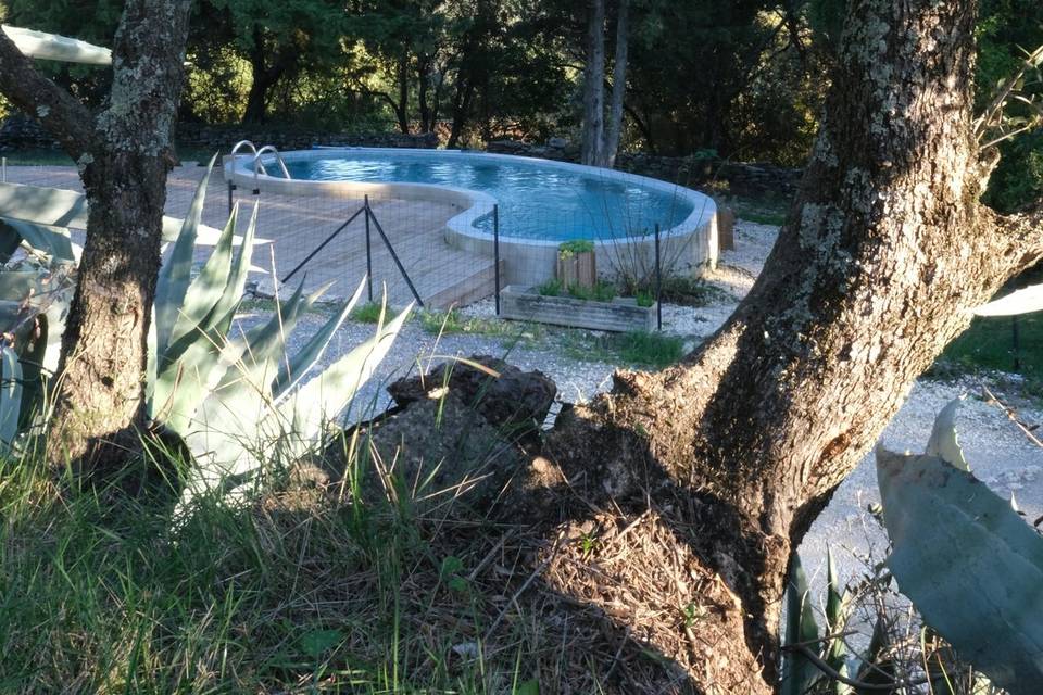 Piscine