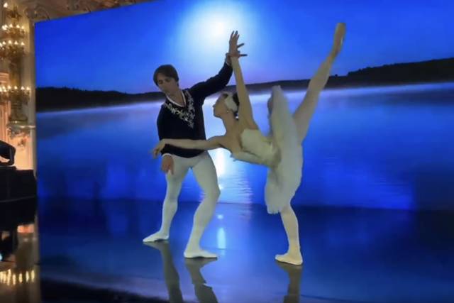 Swan Lake / Lac des Cygnes