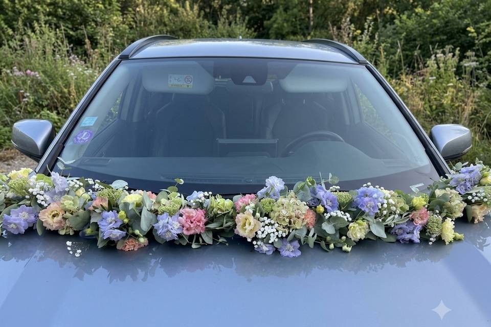 Décoration voiture