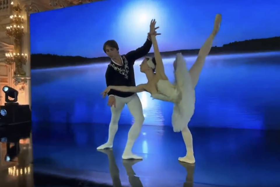Swan Lake / Lac des Cygnes