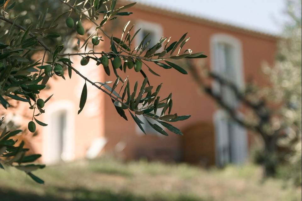 Hôtel Rabiega