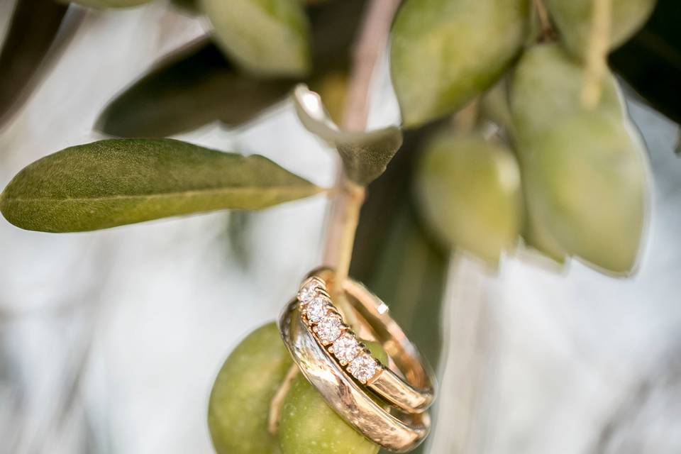 Mariage en Provence
