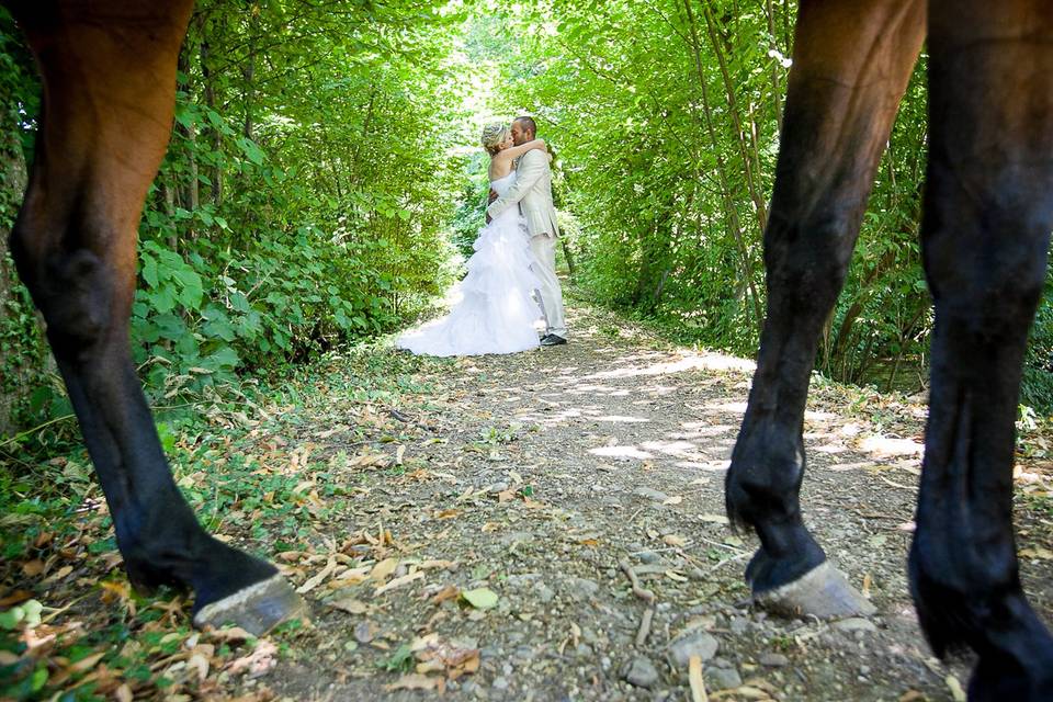 Dans les bois à cheval