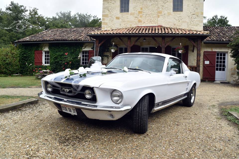 Mustang décoré