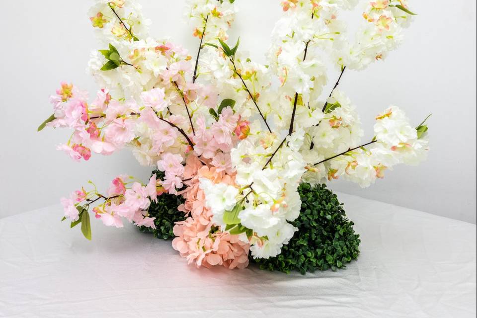 Branche fleur cerisiers