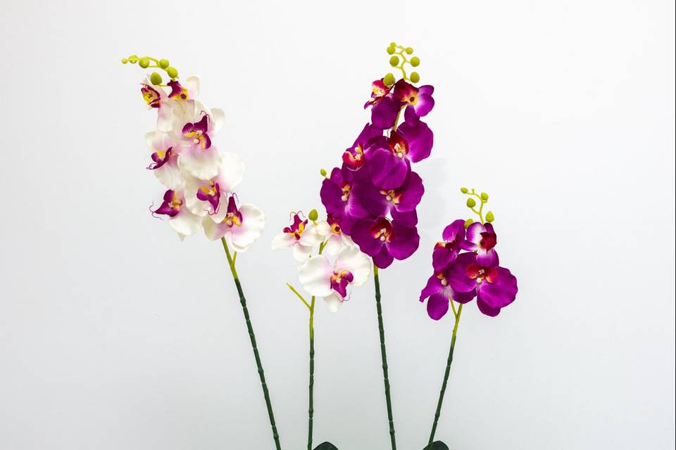Orchidée pourpre pot vert