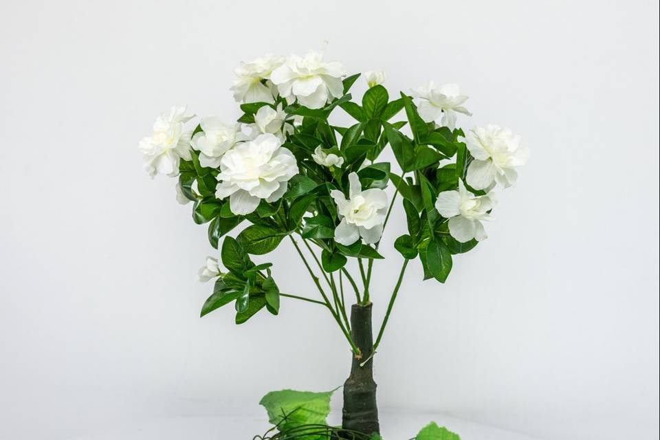 Petit arbre fleurs blanches
