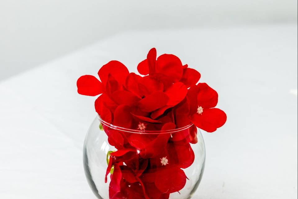 Roses rouges bol verre