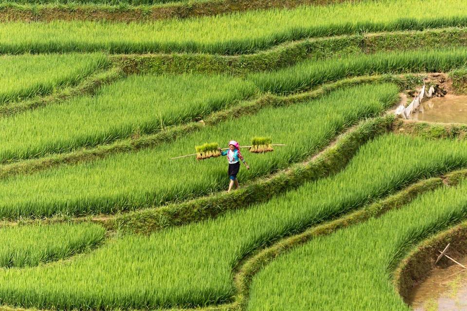 Bali