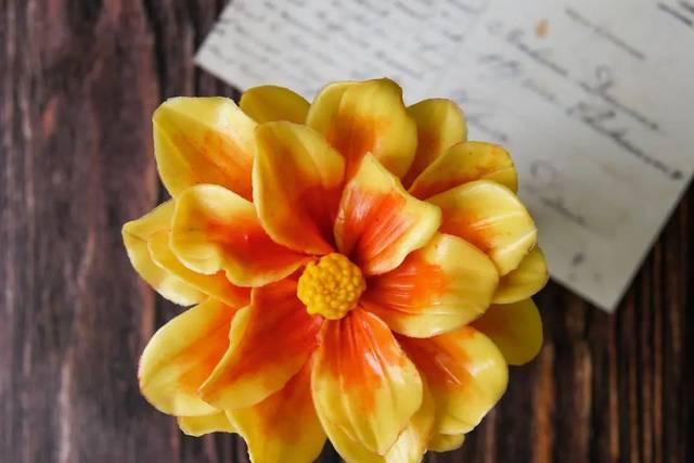Dahlia Golden eye