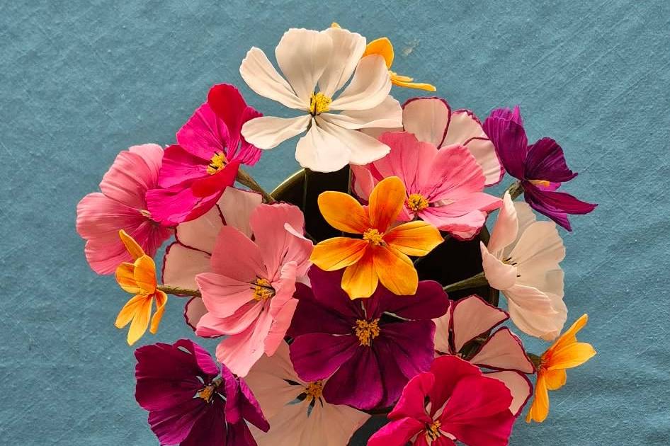 Cosmos